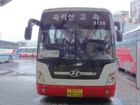 연천,철원,포천도평리 잡사 - 버스 갤러리