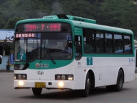 연천,철원,포천도평리 잡사 - 버스 갤러리