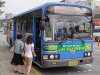 대전잡사 - 버스 갤러리