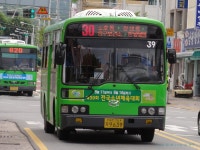 대전잡사 - 버스 갤러리