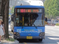 대전사진모음 1 - 버스 갤러리