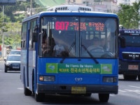 대전사진모음 2 - 버스 갤러리