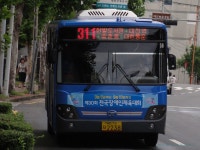 대전사진모음 2 - 버스 갤러리