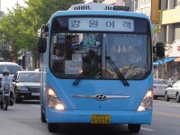 추석연휴잡사 3 (태백,정선,삼척,동해 등 - 9/20) - 버스 갤러리