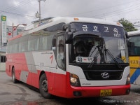 담양대치-담양-옥과터미널 잡사 - 버스 갤러리