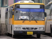 영광-군산대야-대전유성 이동중(시외) - 버스 갤러리