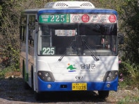 여기저기 잡사 2 - 버스 갤러리