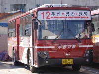 KTX울산역,언양터미널 잡사 2 - 버스 갤러리