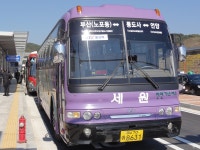 KTX울산역,언양터미널 잡사 2 - 버스 갤러리