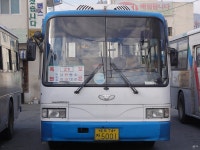 충북옥천,경남양산(원동,배내골),울산 잡사 - 버스 갤러리