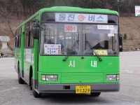 주말에만 운행하는 동진버스 503-1번 시승기 (안목-대관령정상) - 버스 갤러리