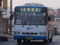 제천/단양/문경지역 - 잡사 - 버스 갤러리