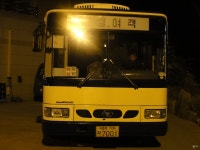 제천/단양/문경지역 - 잡사 - 버스 갤러리