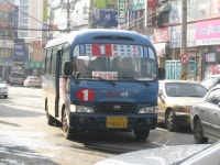 그냥심심해서 올려보는 문산,적성터미널(백학) 사진 - 버스 갤러리