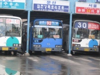 그냥심심해서 올려보는 문산,적성터미널(백학) 사진 - 버스 갤러리