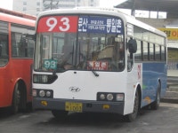 그냥심심해서 올려보는 문산,적성터미널(백학) 사진 - 버스 갤러리