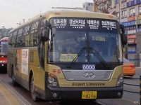 [서울] 서초구,강남구 잡사 - 버스 갤러리