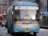 [서울] 서초구,강남구 잡사 - 버스 갤러리