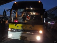 [경북상주/충북영동] 화령터미널,낙서터미널,상주터미널,황간터미널 잡사 - 버스 갤러리