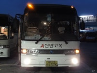 [경북상주/충북영동] 화령터미널,낙서터미널,상주터미널,황간터미널 잡사 - 버스 갤러리