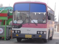 [경북] 안동,영양 잡사 + 행력테스트 (난이도-중) - 버스 갤러리