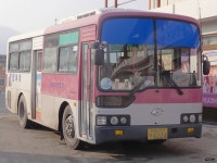 [경북] 안동,영양 잡사 + 행력테스트 (난이도-중) - 버스 갤러리