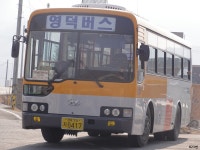 [경북] 안동,영양 잡사 + 행력테스트 (난이도-중) - 버스 갤러리