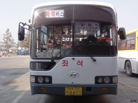 [경북] 영덕,울진 잡사 - 버스 갤러리