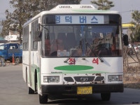 [경북] 영덕,울진 잡사 - 버스 갤러리