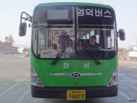 [경북] 영덕,울진 잡사 - 버스 갤러리