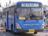 [경북] 영덕,울진 잡사 - 버스 갤러리