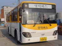 [경북] 영덕,울진 잡사 - 버스 갤러리