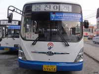 [경북] 영덕,울진 잡사 - 버스 갤러리