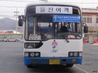 [경북] 영덕,울진 잡사 - 버스 갤러리