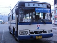 [경북] 영덕,울진 잡사 - 버스 갤러리