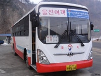 [경북] 울진,영덕 잡사 - 버스 갤러리