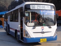 [경북] 울진,영덕 잡사 - 버스 갤러리