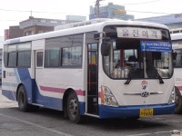 [경북] 울진,영덕 잡사 - 버스 갤러리