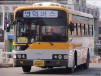 [경북] 울진,영덕 잡사 - 버스 갤러리