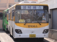 [경북] 울진,영덕 잡사 - 버스 갤러리