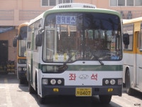 [경북] 울진,영덕 잡사 - 버스 갤러리