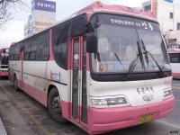 [경북] 안동,영주 잡사 - 버스 갤러리