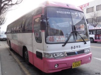 [경북] 안동,영주 잡사 - 버스 갤러리