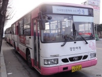 [경북] 안동,영주 잡사 - 버스 갤러리