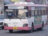 [경북] 안동,영주 잡사 - 버스 갤러리