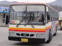 [경북] 안동,영주 잡사 - 버스 갤러리