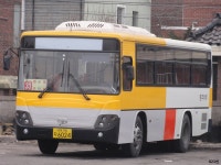 [경북] 안동,영주 잡사 - 버스 갤러리