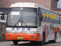 [강원,경기도] 포천,화천 잡사 2 (* 138-5번 신차도입?) - 버스 갤러리