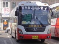 [강원도] 춘천,화천 잡사 3 - 버스 갤러리