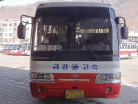 여러가지 종합 잡사! - 버스 갤러리